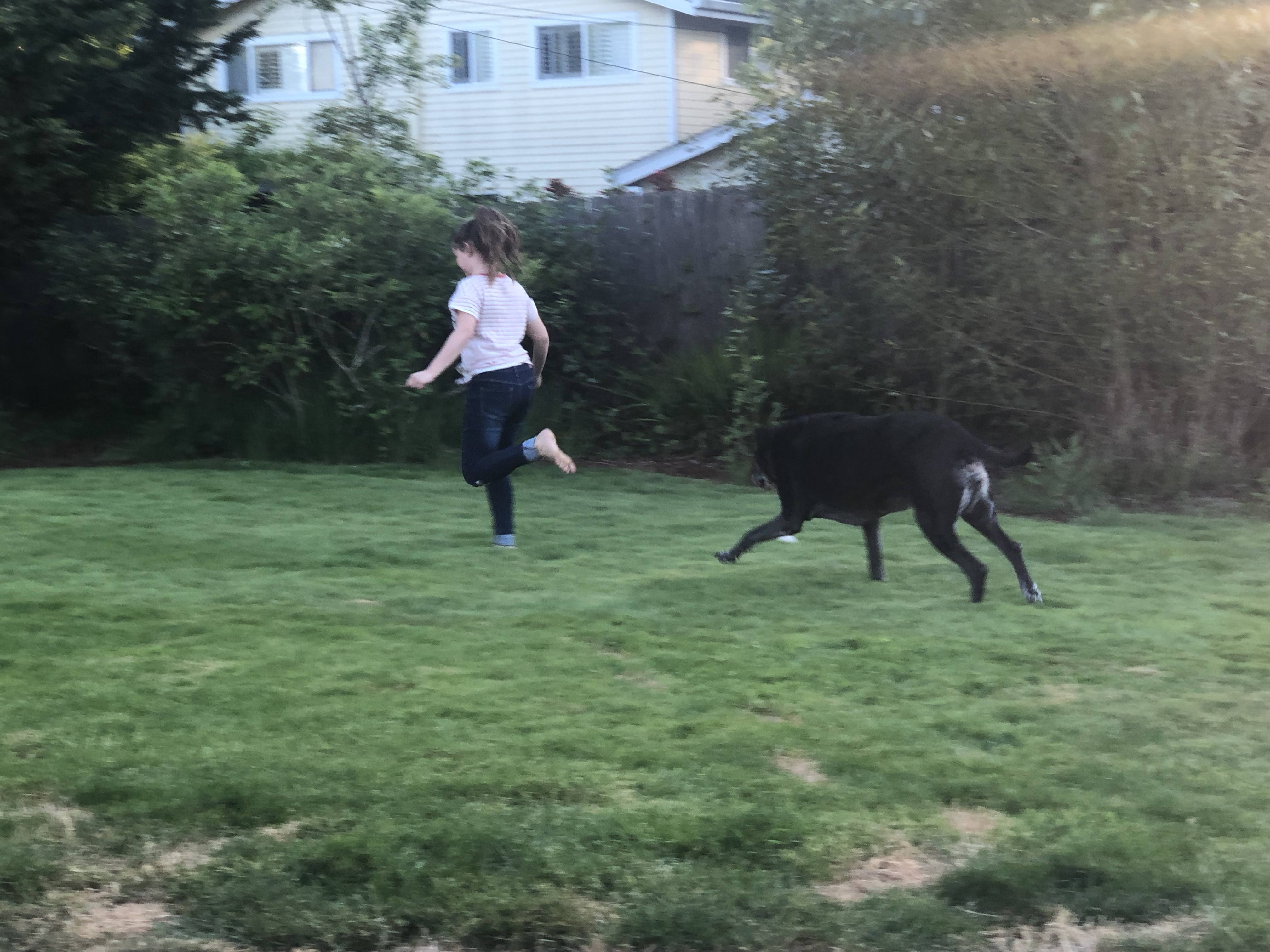 1FB7BD0A-E71C-4FAA-B7D6-DA593B2C3E24